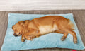 Long Plush Dog Bed with Quilted Base - 4 Sizes