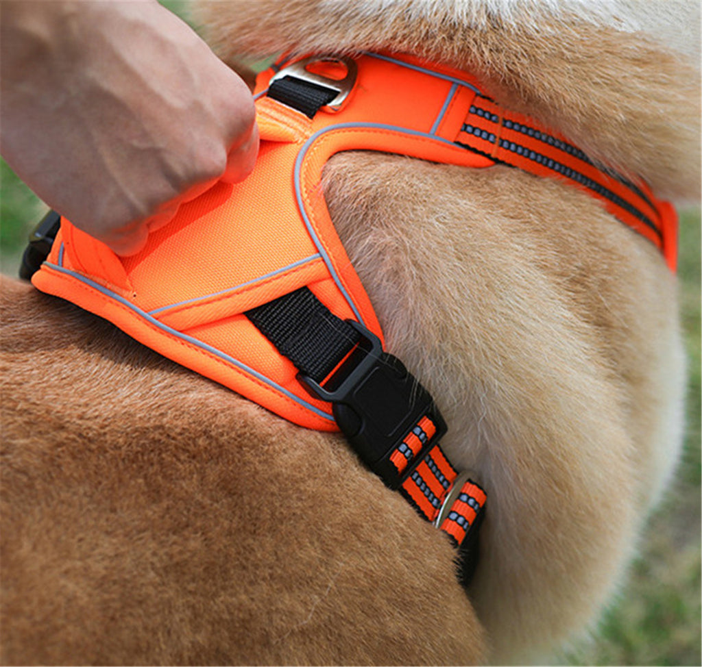 No-Pull Reflective Dog Harness