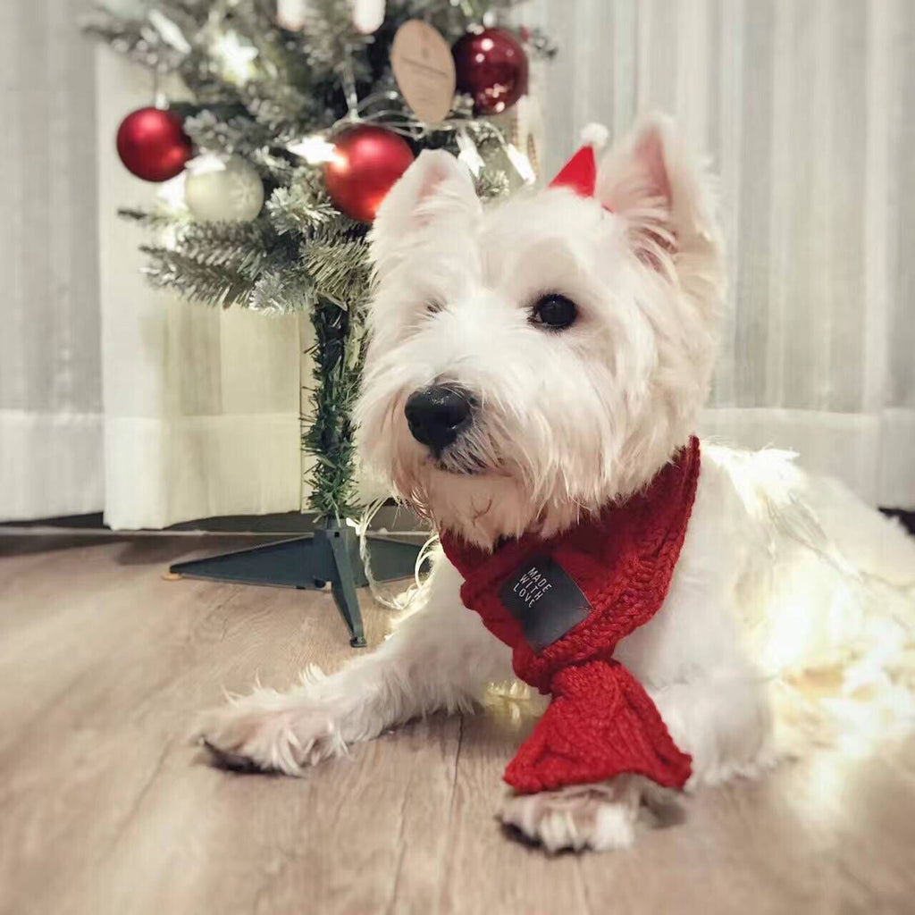 Thick Warm Scarf for Dogs