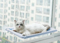 Pet Stop™ Window Hammock For Cats