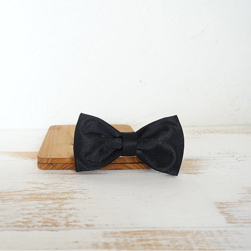 Bow tie dog collar and leash