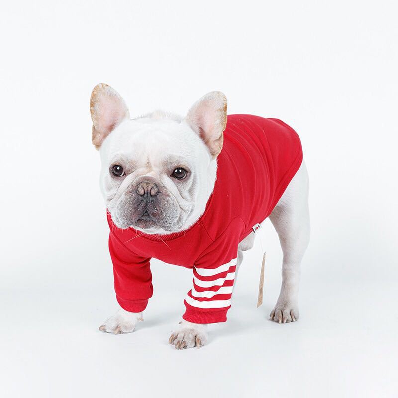 Spring Autumn Dog Hoodies for Small Dogs